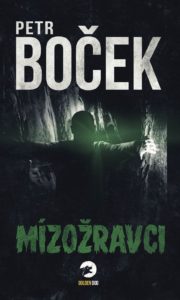 Výhled pro letošek a příští rok