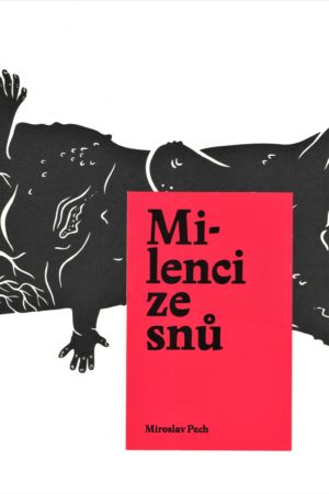 Milenci ze snů