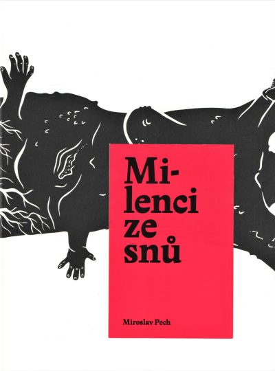 Milenci ze snů
